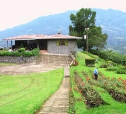 4x250g Café En Grain Bio La Esperanza - Cafés Lugat -Café De Qualité cafe grains esperanza colombie 3