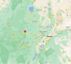 4x250g Café En Grain Bio - Ethiopie Moka Nekemte - CAFES LUGAT -Café De Qualité cafeengraincafeslugatethiopie