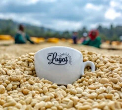 1 Kg Café En Grain Le Dark'n Sweet - Cafés Lugat -Café De Qualité cafeengraincafeslugatmarque