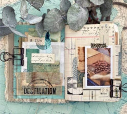 1kg Café En Grain 100% Arabica Moka Bio Ethiopie - DESTINATION 5 1kg Café En Grain 100% Arabica Moka Bio Ethiopie - DESTINATION -Café De Qualité cafeengraindestinationmarque