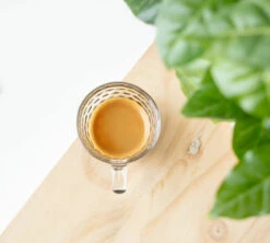 1kg Café En Grain Bio Mélange Savanah - GREEN LION COFFEE -Café De Qualité cafeengraingreenlioncoffeeexpresso 3