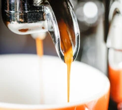 1 Kg Café En Grain Purissima - Perléo Espresso -Café De Qualité cafeengrainperleoespressopurissimaextraction