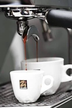 1 Kg Café En Grain Black Of Italy Zicaffè -Café De Qualité espresso zicaffe