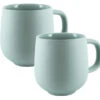 2 Mugs Terra Sauge - 33 Cl - PYLANO