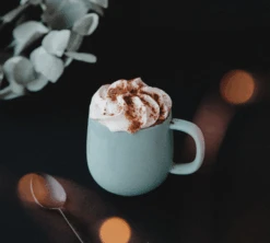 Mug Terra Brique + Mug Terra Sauge- 33 Cl - PYLANO -Café De Qualité pylano tasse terra lifestyle 1