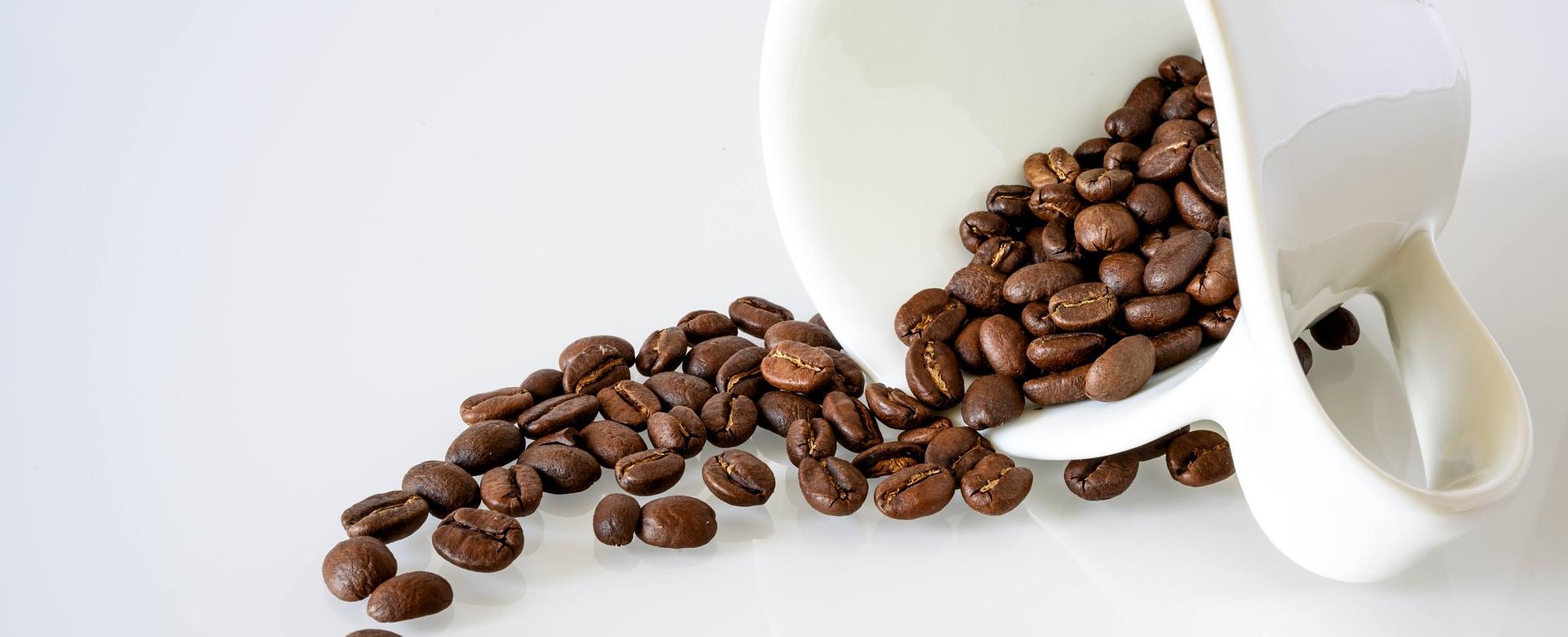 Café De Qualité 9 Café De Qualité -Café De Qualité coffee 5498486 1920